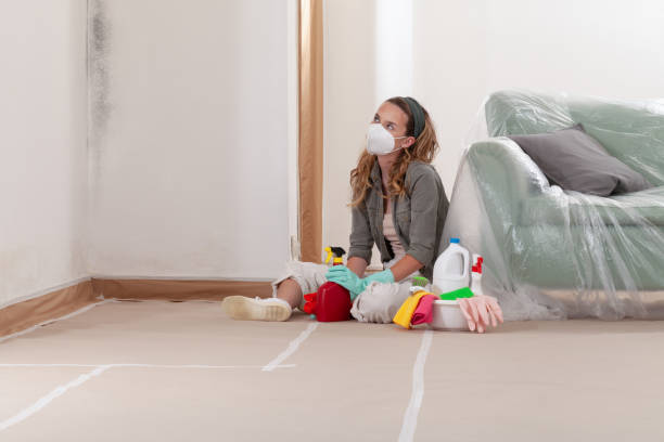 Reliable Mold Removal contractor in Newport, WA by WQB Mold Removal