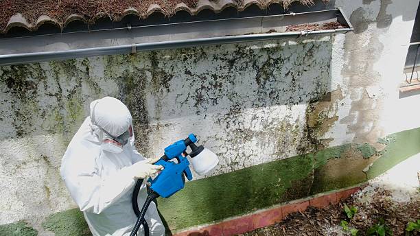 Top rated local Mold Removal specialists in Newport, WA
